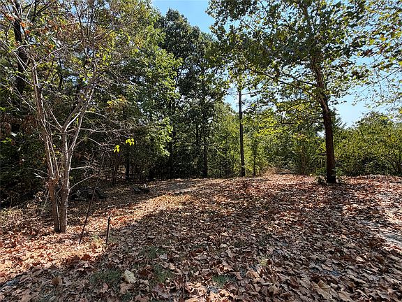 5th image of 11281 NE 120th Rd