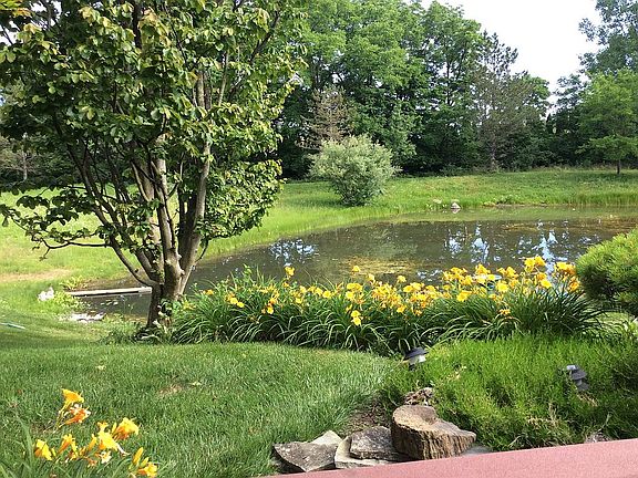 4th image of 1036 Willowood Cir