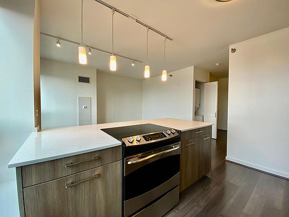 5th image of 217 W Illinois St #1203