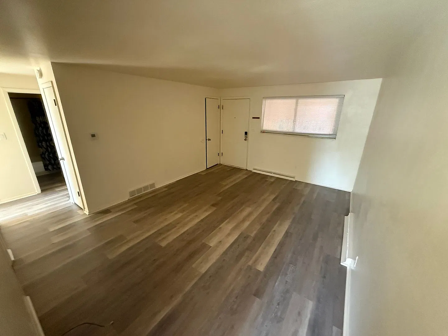 225Terry — Photo 2