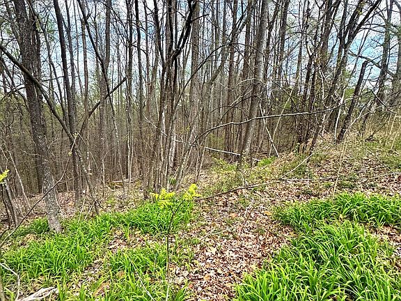 2nd image of 0 Coconut Ridge Rd Lot 1 & 2