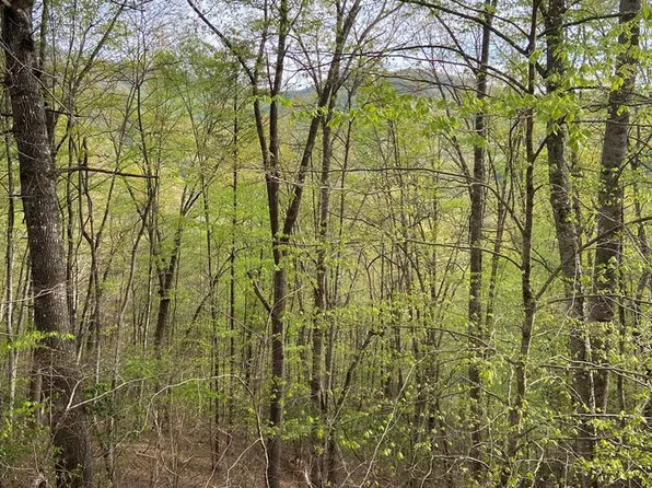 66 Wildflower Drive, Cullowhee, NC 28723