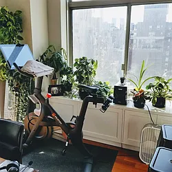 Rented by Voro NYC