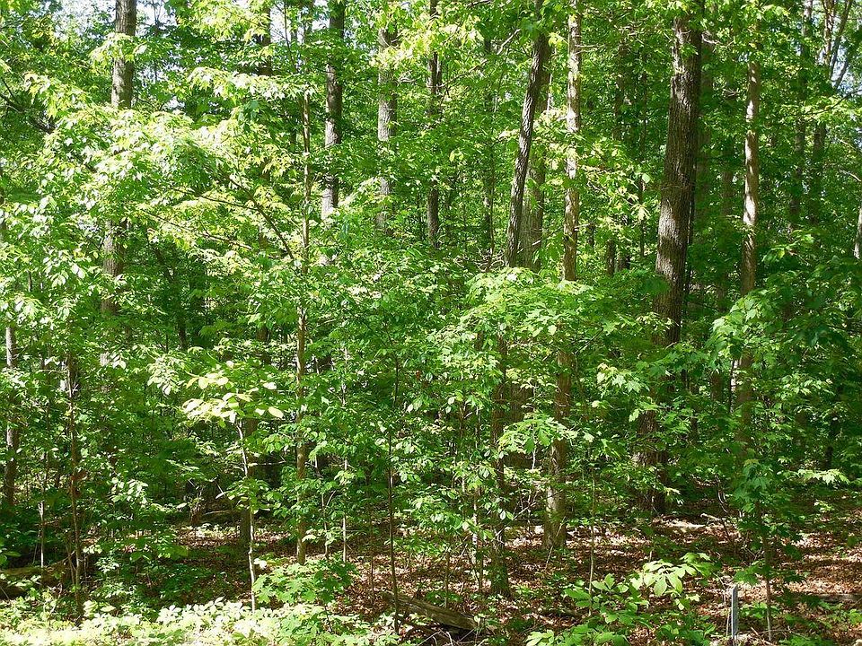 1st image of 311 Tuhdegwa Trce Lot 6