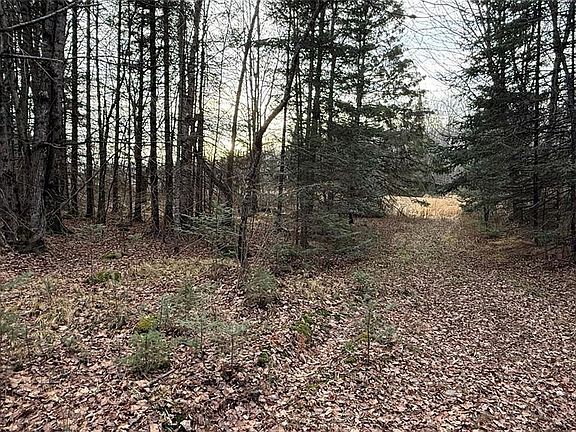 2nd image of 80+/- Acres Off South Park Road