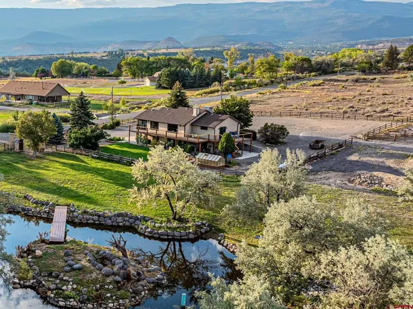 16668 Bull Mesa Road, Cedaredge, CO 81413