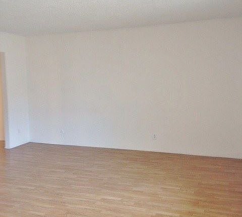 3rd image of 4218 Mississippi St APT 7