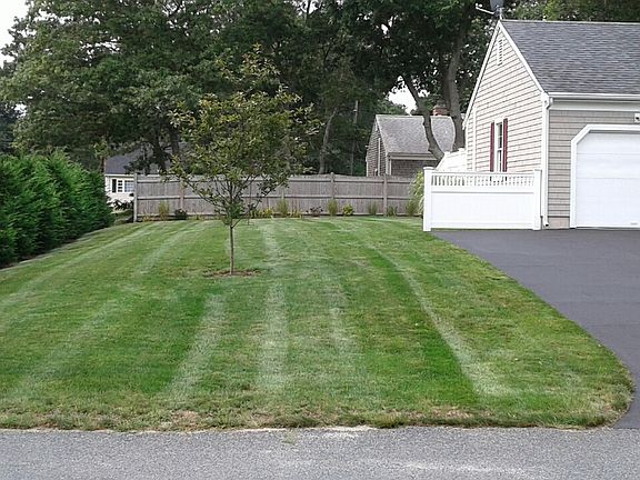 Private Yard Left Side