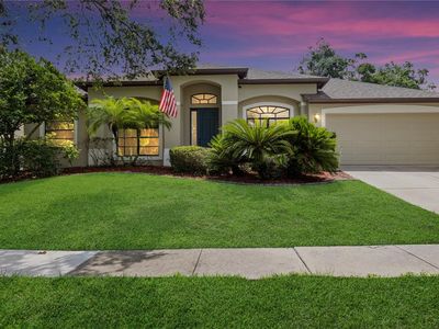 8836 Alafia Cove Dr, Riverview, FL, 33569