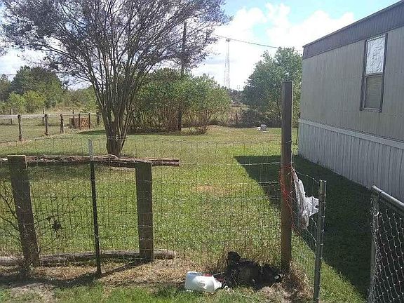 Looking East into the back yard.