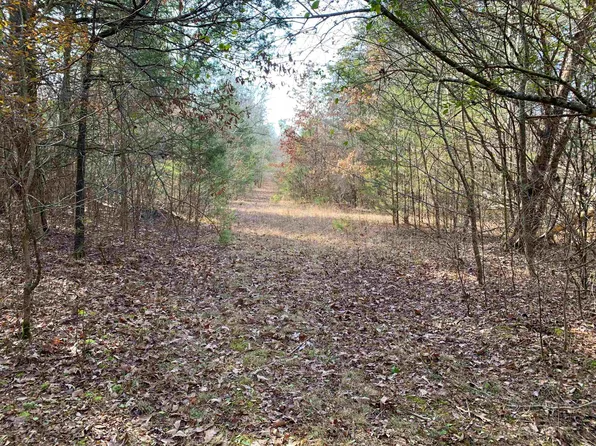 5 Buckeye Ln, Quitman, AR 72131