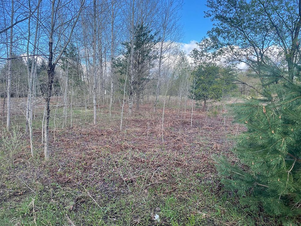 2nd image of 1910 S 132nd Ave