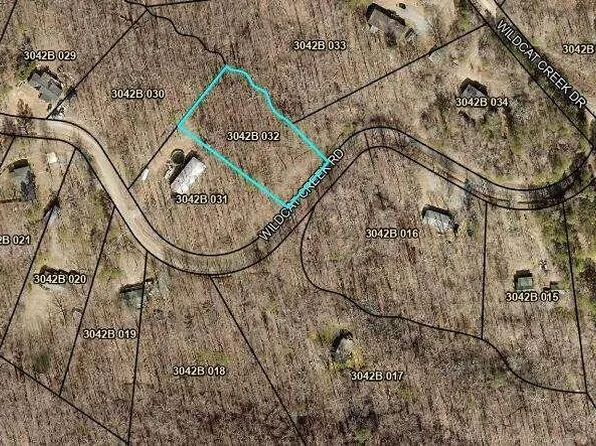 0 Wildcat Creek Rd, Ellijay, GA 30540