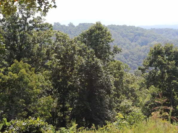 0 Chateau Pointe Loop, Mountain View, AR 72560