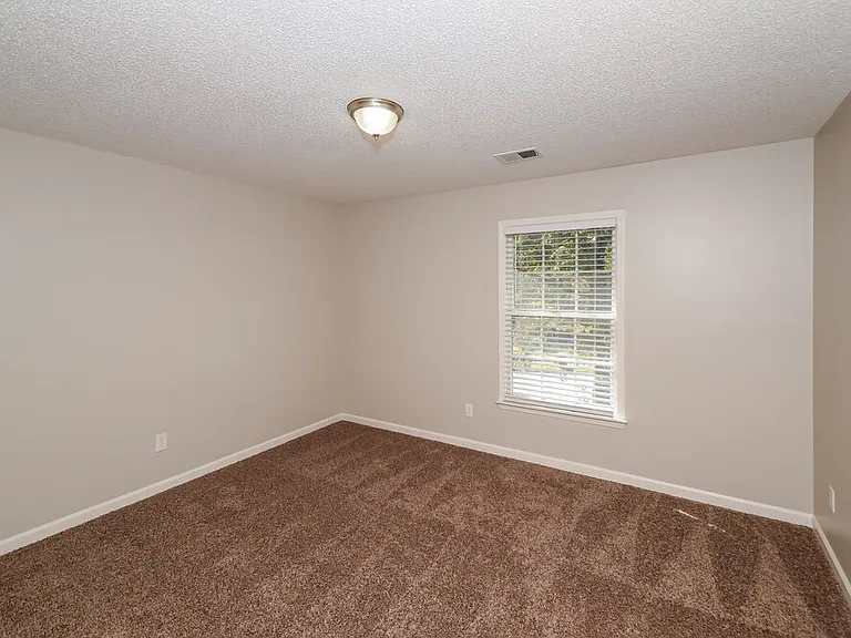 120 Shelley Renee Ln — Photo 13