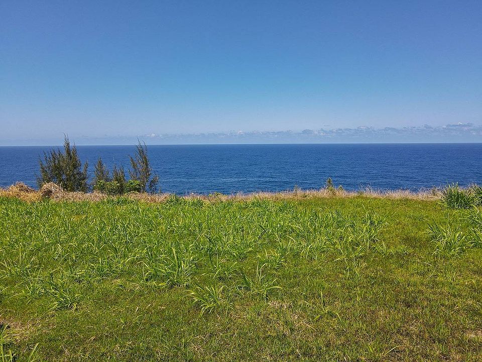 322643 Pali Ku Pl, Ninole, HI 96773 MLS 705207 Zillow