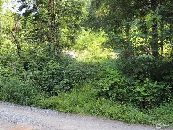 52902 S Riverside Road, Gold Bar, WA 98251