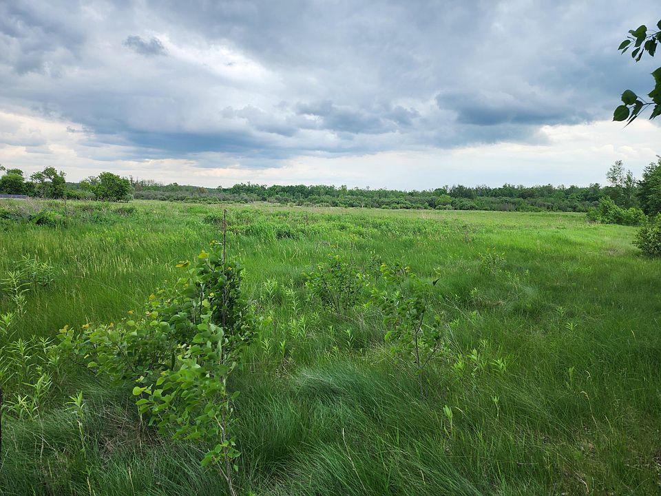 2nd image of Rice Rd