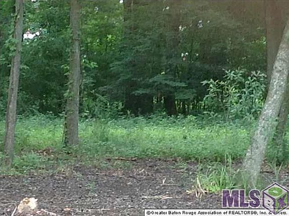 5th image of LOT 11 Bayou Paul Ln