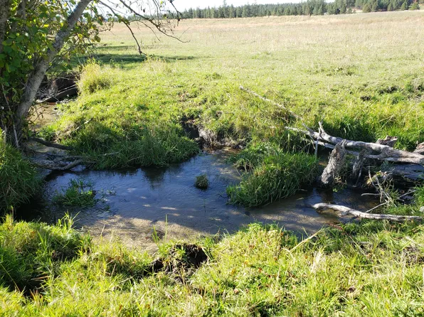 LOT-11XX Kitt Narcisse Rd #A, Colville, WA 99114