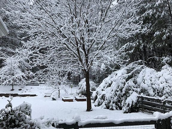 Winter wonderland 