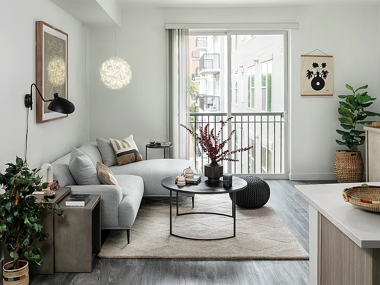 Apartment living room with wood-style flooring.