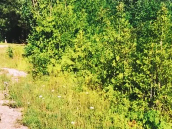 0 Grace Harbor Rd, Millersburg, MI 49759