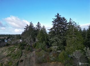 2917 Oysterville Rd, Oysterville, WA 98641