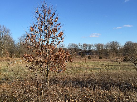 5th image of 0 Oak Hill Dr