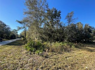 35427 Snyder St #9, Webster, FL 33597