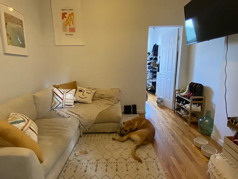 179 Orchard St #15 — Photo 5