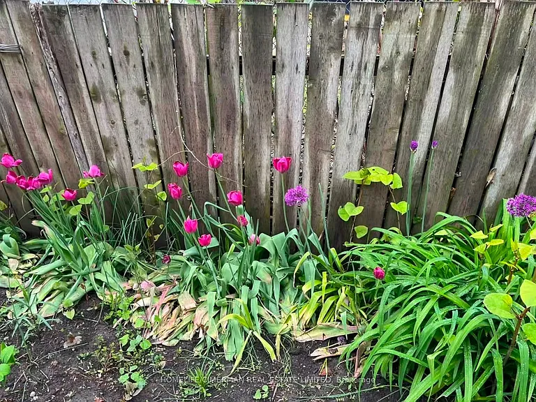6 Givins St #UPPER — Photo 12