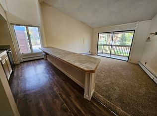 1140 Ski Hill Rd, Breckenridge, CO 80424