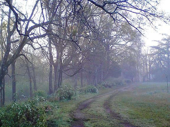 Circle drive to front gates