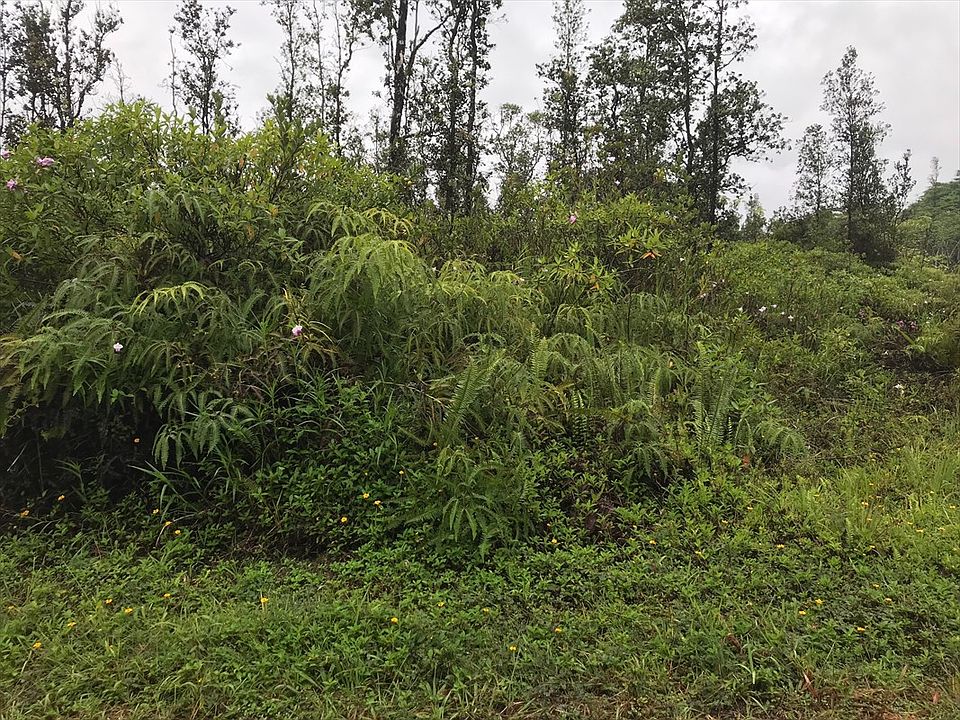 2nd image of 38th Ave Lot 21