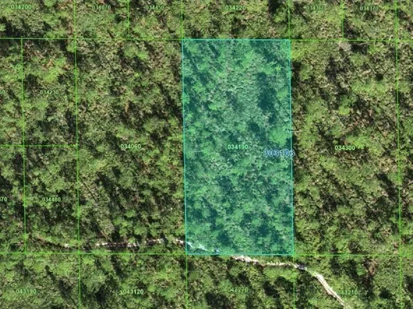 30-31-03-000000- Inaaccesible Trak, Lake Wales, FL 33898