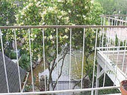 3rd image of 2300 Old Spanish Trl APT 2070