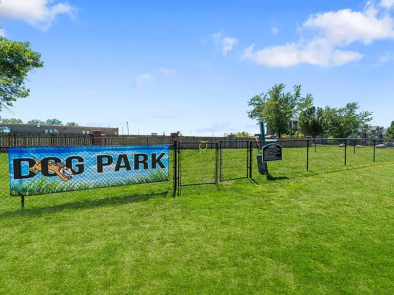Dog Park!