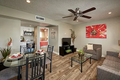Fiesta Village Furnished Apts — Photo 25