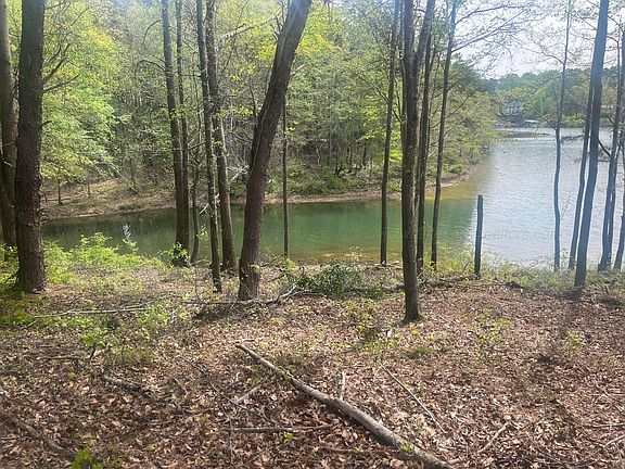 2nd image of Camp Jimmy Goodwin Rd