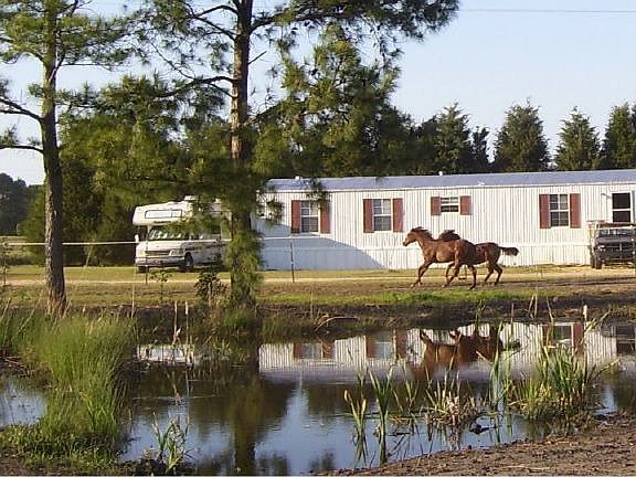 Singal wide Trainers quarters