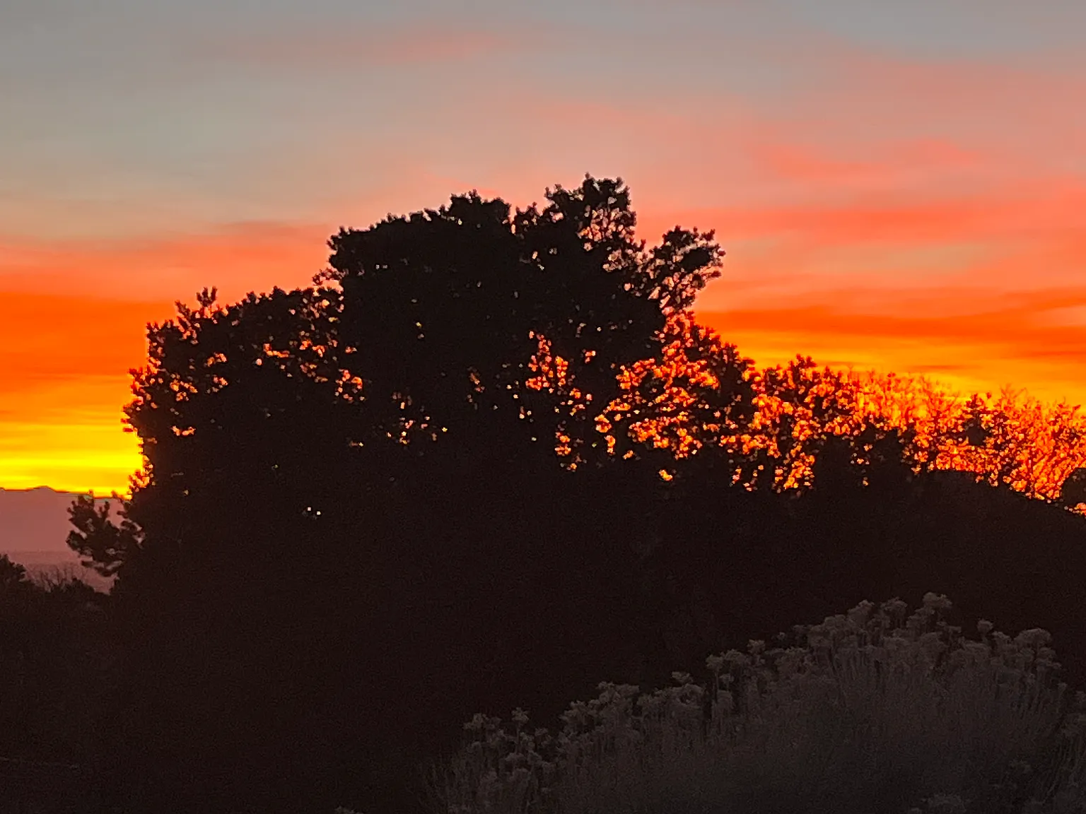 Camino Nevoso, Santa Fe — Photo 2