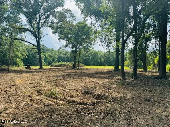 4.55 Acres Hwy #63, Lucedale, MS 39452