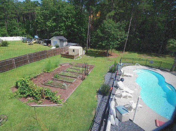 Veggie garden & pool