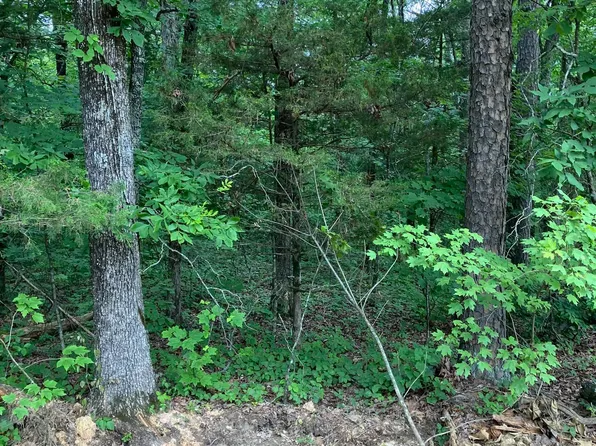 (undisclosed Address), Clinton, AR 72031