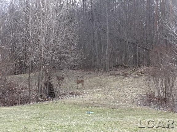 2nd image of 527 Emerald Glen Dr