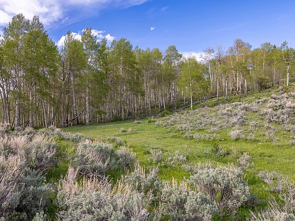 3rd image of 0 Ramshorn Ranch Rd