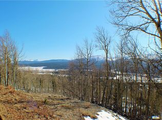 Platte River Dr, Alma, CO 80420