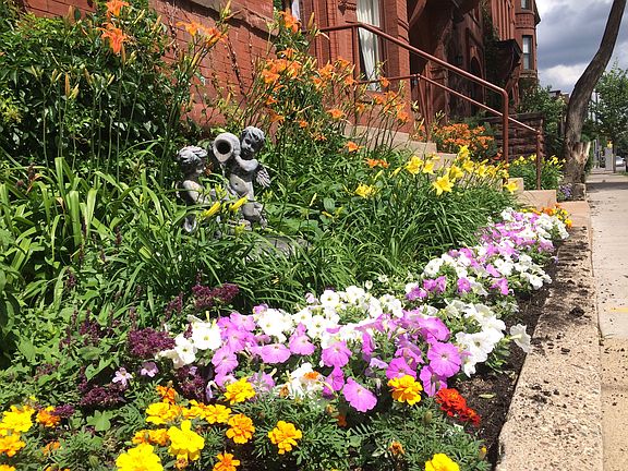 Beautiful Flower Garden
