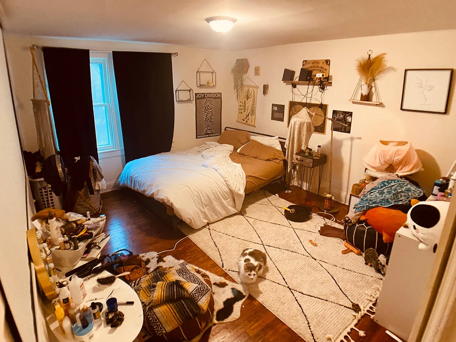 1 bed, 495 sqft, $955 — Photo 2